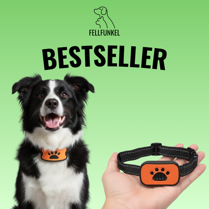 Funkel-Anti-Bell Halsband   Schmerzfreie Lösung gegen lästiges Bellen