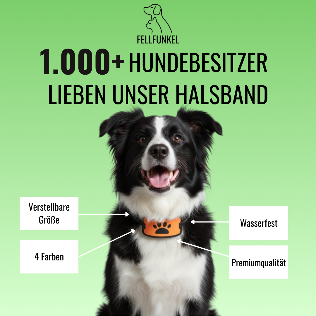 Funkel-Anti-Bell Halsband   Schmerzfreie Lösung gegen lästiges Bellen