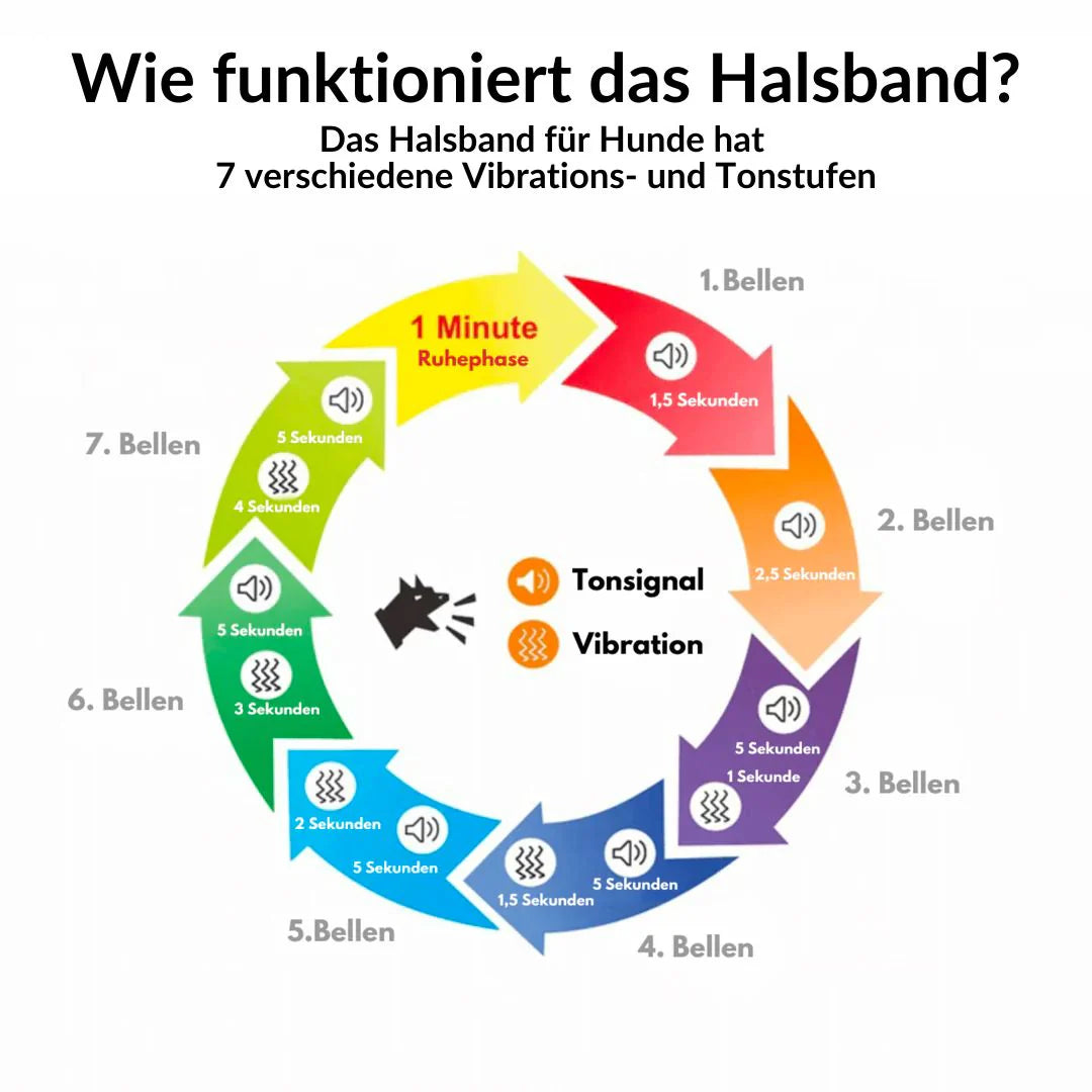 Funkel-Anti-Bell Halsband   Schmerzfreie Lösung gegen lästiges Bellen