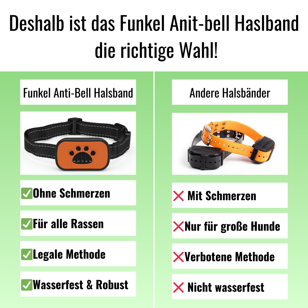 Funkel-Anti-Bell Halsband   Schmerzfreie Lösung gegen lästiges Bellen